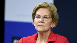 The Gauntlet That Shaped Elizabeth Warren